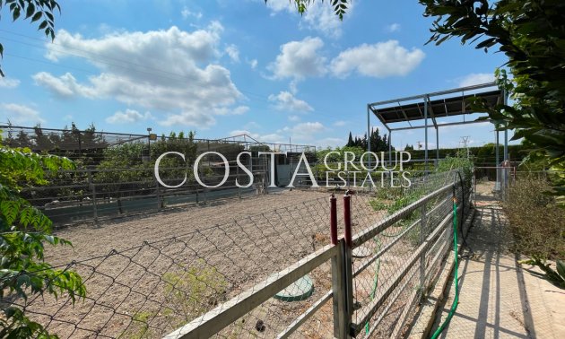 Resale - Villa -
San Fulgencio - La Marina