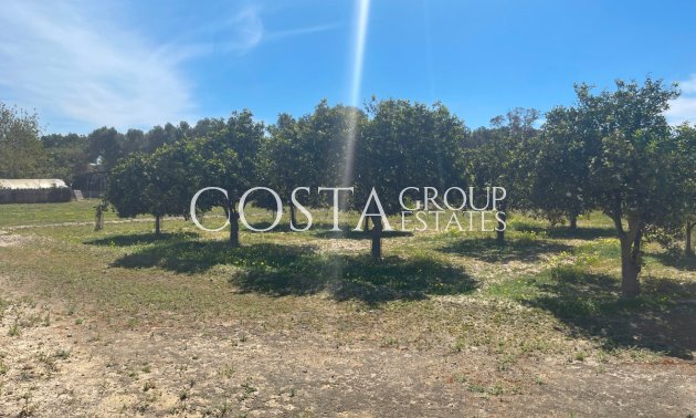 Revente - Villa -
Guardamar del Segura - Guardamar del Segura Centro