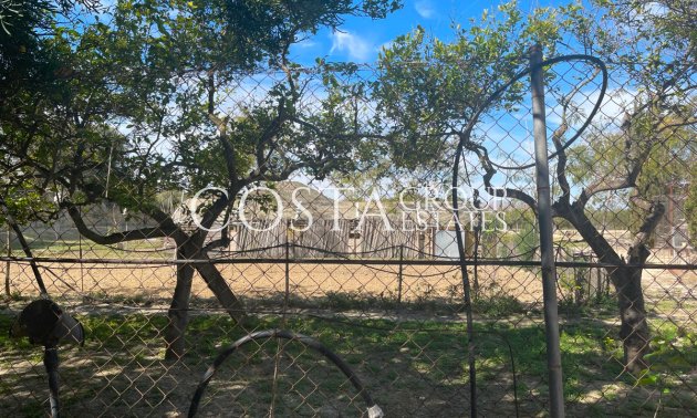 Revente - Villa -
Guardamar del Segura - Guardamar del Segura Centro