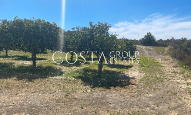 Revente - Villa -
Guardamar del Segura - Guardamar del Segura Centro