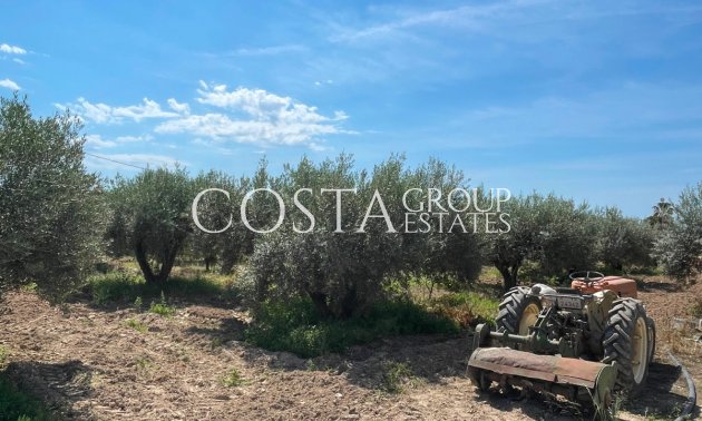 Revente - Villa -
Crevillente - Crevillent - Crevillente - Crevillent Centro