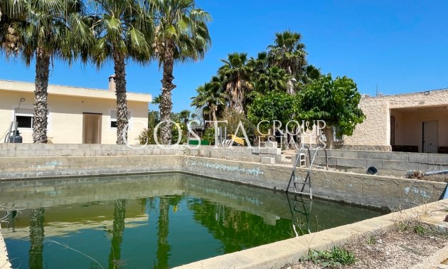 Revente - Villa -
Crevillente - Crevillent - Crevillente - Crevillent Centro