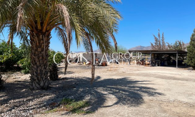 Revente - Villa -
Crevillente - Crevillent - Crevillente - Crevillent Centro