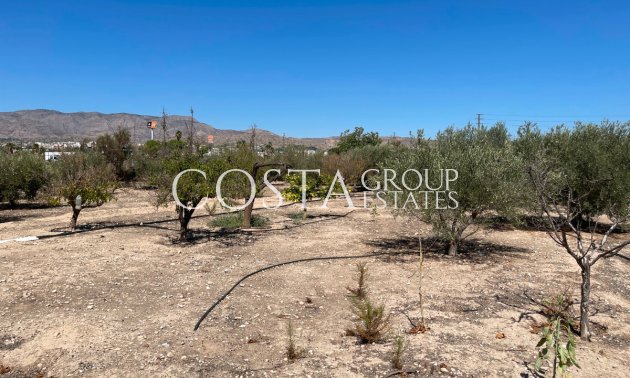 Revente - Villa -
Crevillente - Crevillent - Crevillente - Crevillent Centro