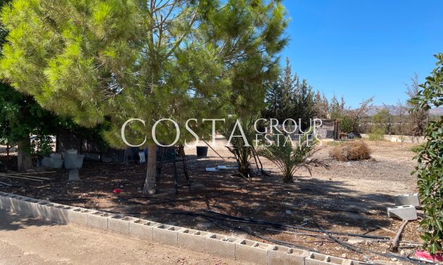 Revente - Villa -
Crevillente - Crevillent - Crevillente - Crevillent Centro