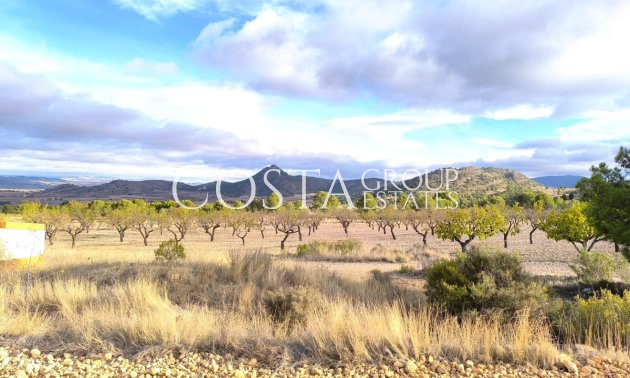 Odsprzedaż - Willa -
Yecla - Yecla Centro