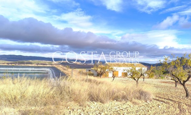 Odsprzedaż - Willa -
Yecla - Yecla Centro