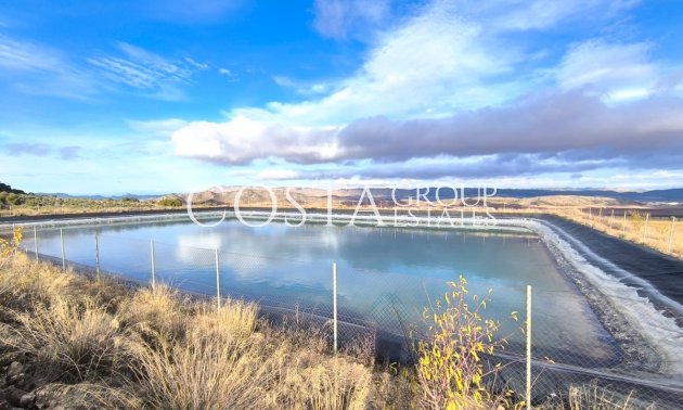 Odsprzedaż - Willa -
Yecla - Yecla Centro