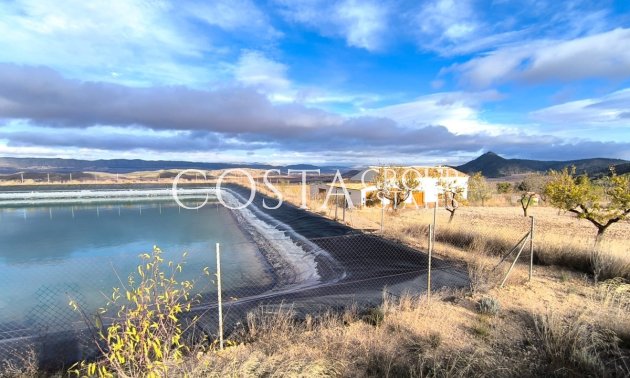 Odsprzedaż - Willa -
Yecla - Yecla Centro