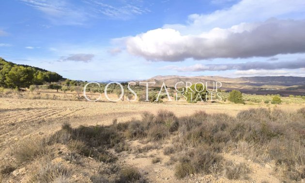 Odsprzedaż - Willa -
Yecla - Yecla Centro