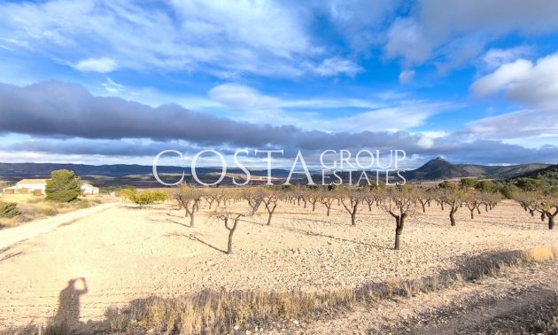 Odsprzedaż - Willa -
Yecla - Yecla Centro