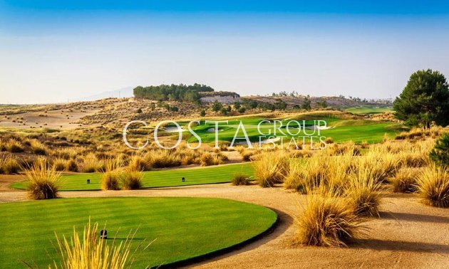 Nowy budynek - Willa -
Alhama De Murcia - Condado De Alhama