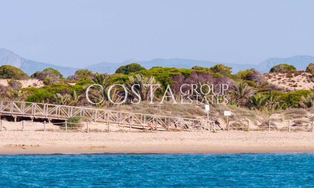 Nouvelle construction - Apartments -
Guardamar del Segura - Guardamar Del Segura