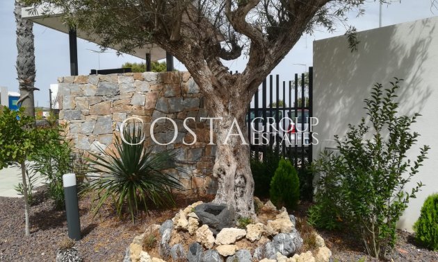 New Build - Apartments -
Torrevieja