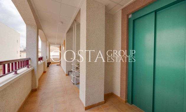 Nowy budynek - Apartments -
San Fulgencio