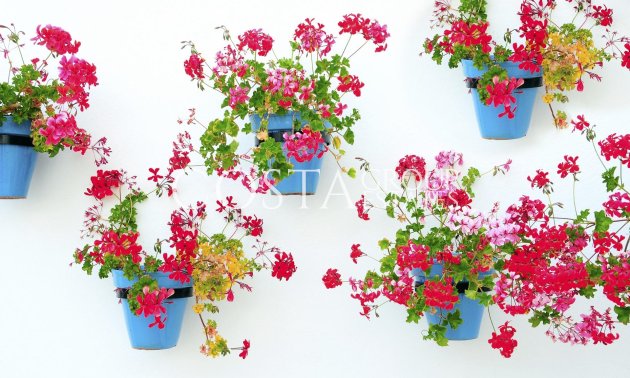 Neue Gebäude - Apartments -
Mijas - La Noria Golf