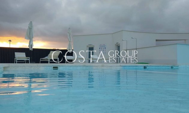 Neue Gebäude - Apartments -
Torre-Pacheco