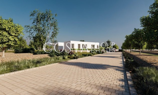 Nouvelle construction - Villa -
Benejúzar - alta