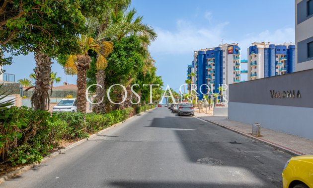 Wiederverkauf - Apartments -
Orihuela Costa - Punta Prima