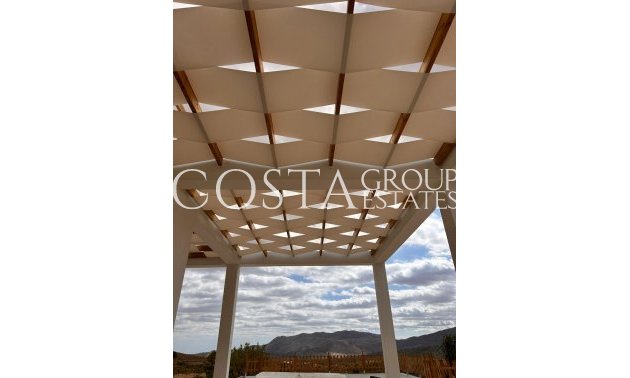 Neue Gebäude - Villa -
Pinoso - Casas Pastor