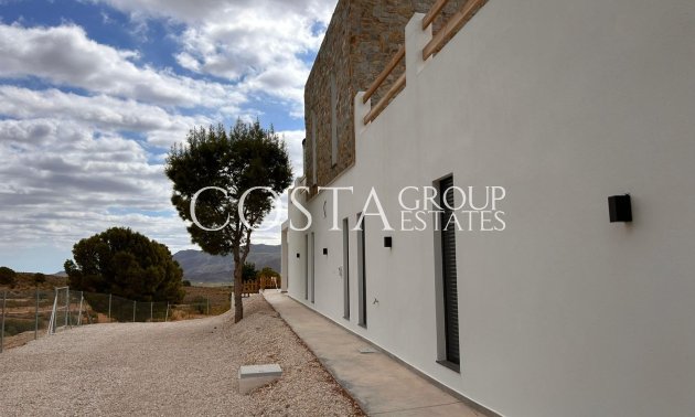 Neue Gebäude - Villa -
Pinoso - Casas Pastor