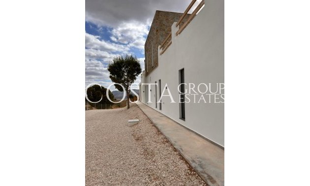 Neue Gebäude - Villa -
Pinoso - Casas Pastor