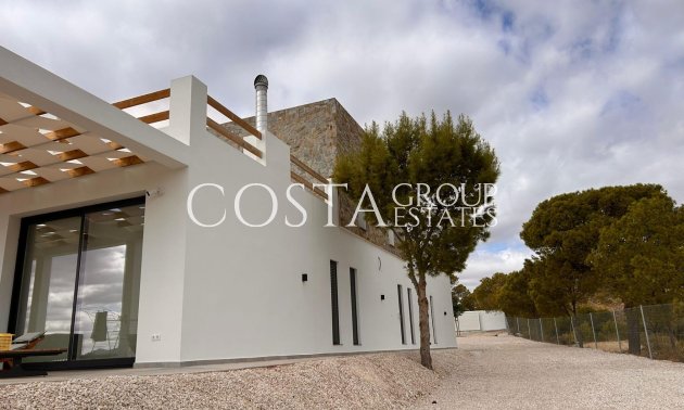 Neue Gebäude - Villa -
Pinoso - Casas Pastor