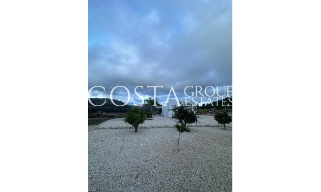New Build - Villa -
Pinoso - Casas Pastor